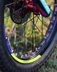 2025 Sherco ST-F Factory Adam Raga Replica 250cc Trials Bike - Road and Trials