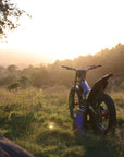 NEW 2025 Sherco ST-F Factory Adam Raga Replica 250cc Trials Bike