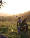 2025 Sherco ST-F Factory Adam Raga Replica 250cc Trials Bike - Road and Trials