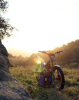 2025 Sherco ST-F Factory Adam Raga Replica 250cc Trials Bike - Road and Trials